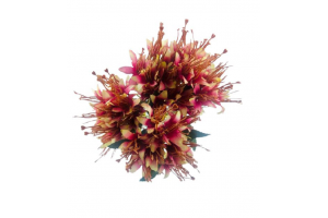 B.LIRIO  MINI X18 ROSA OUTONO 2T 32CM REF-42989007