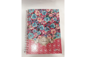 CADERNO 10 MATERIAS CHARM