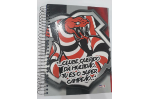 CADERNO 15X1 DREAMS OF G 300 FLS