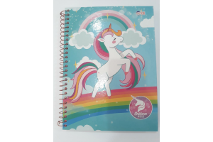 CADERNO 10 MATERIAS UNICORNS