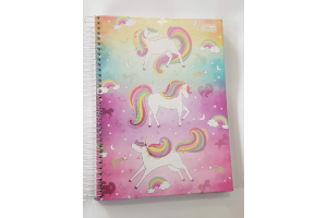 CADERNO 12 MATERIAS BLINK