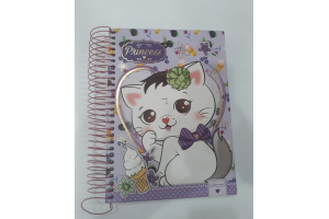 CADERNO 20X1 PRINCESS 400 FOLHAS