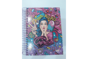 CADERNO  UNIVETRIO  CAPA DURA  15X1 300 FOLHAS CAPRIHE