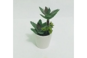 ARRANJO SUCULENTA X6 CORES REF-40864-300
