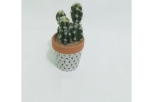 ARRANJO CACTOS X4 MODELOS SORTIDOS REF-46362-590