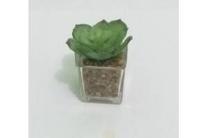 MINI ARRANJO SUCULENTA X6 CORES REF-41176-300