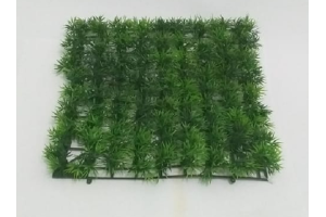 GRAMA 25X25 SAO CARLOS REF-43593-004