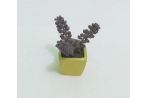 ARRANJO SUCULENTA CORES SORTIDAS REF-37766-300