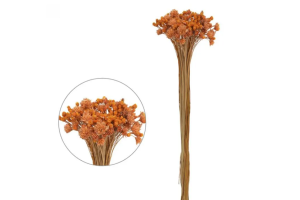 JAZIDA DESIDRATADO LARANJA 40CM REF-60982